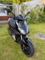 Roller Piaggio Derbi variant sport 50 Schleswig-Holstein - Schwartbuck Vorschau