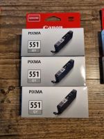 3x Canon Pixma Druckerpatronen 551 GY NEU Hessen - Flieden Vorschau