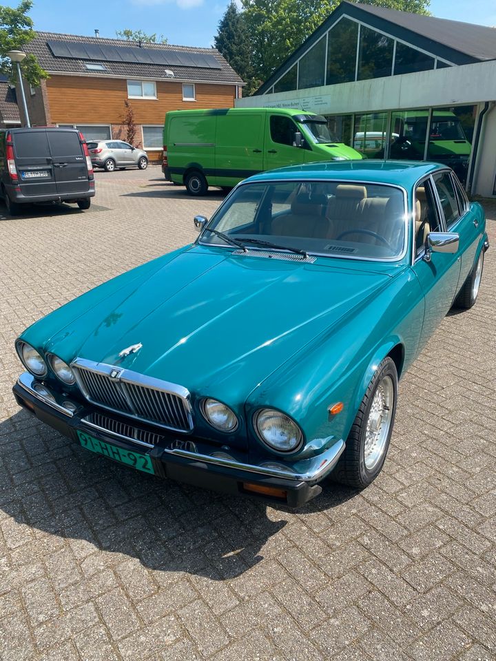 Jaguar xj 12 oldtimer in Dörpen