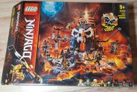 Lego Ninjago alle Sets vollständig+Anleitung+OVP Schleswig-Holstein - Henstedt-Ulzburg Vorschau