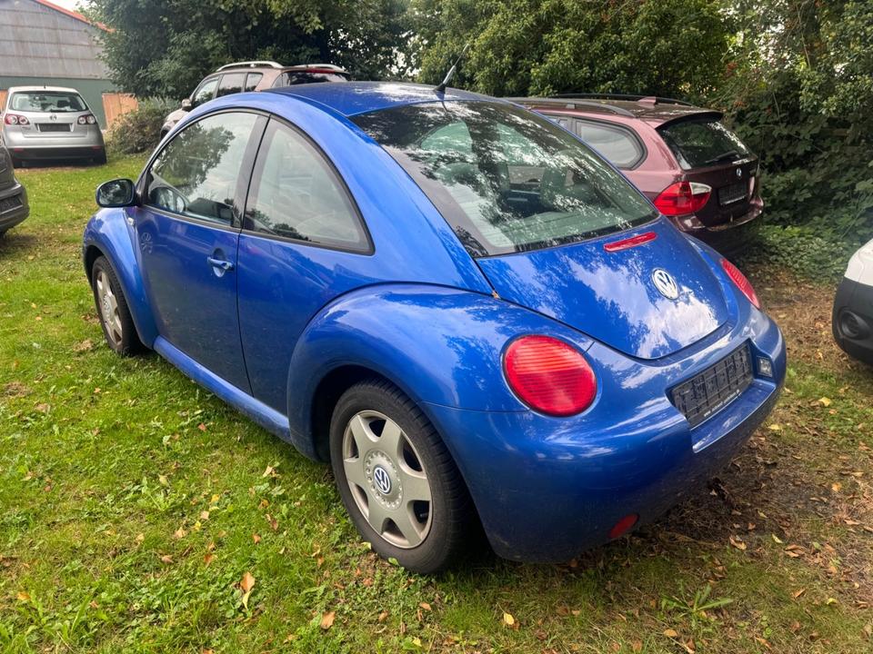 Volkswagen NEW BEETLE 1.4 16V*KLIMA*SHZ*NSW*LM*GJR*HU10/24* in Friedeburg