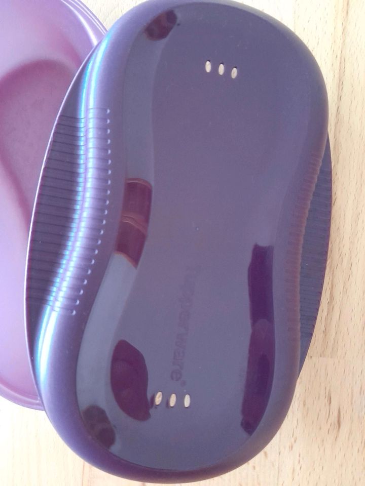 Tupperware Omelett Maker lila in Melle