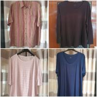 Bluse von DW Shop+Shirts  von Peter Hahn ab  13€ Bayern - Augsburg Vorschau