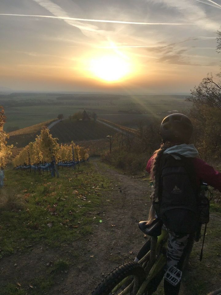 E-Bike Verleih Vermietung Radverleih Fahrradverleih in Oberschwarzach