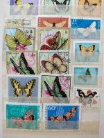 Diverse Briefmarkensammlung Sachsen - Zittau Vorschau
