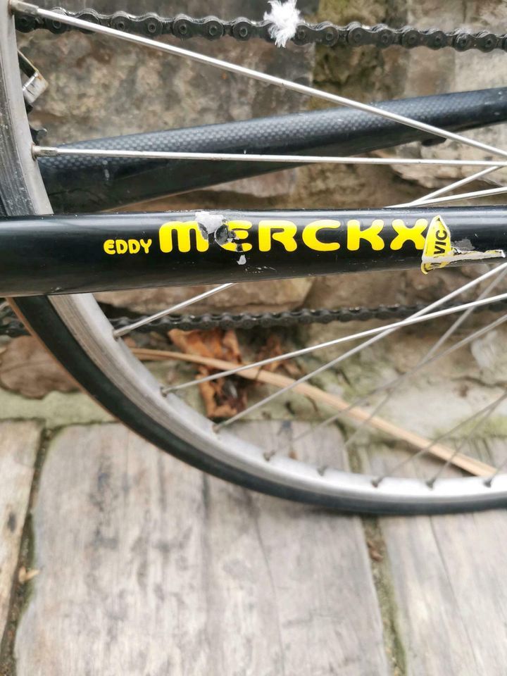 Rennrad Eddy Merckx Alu Sprint Shimano Carbon Gabel in Medebach