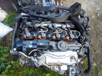 BMW 3 F20 F30 F80 F31 2,0 D B47D20A MOTOR KOMPLETT Brandenburg - Hennigsdorf Vorschau