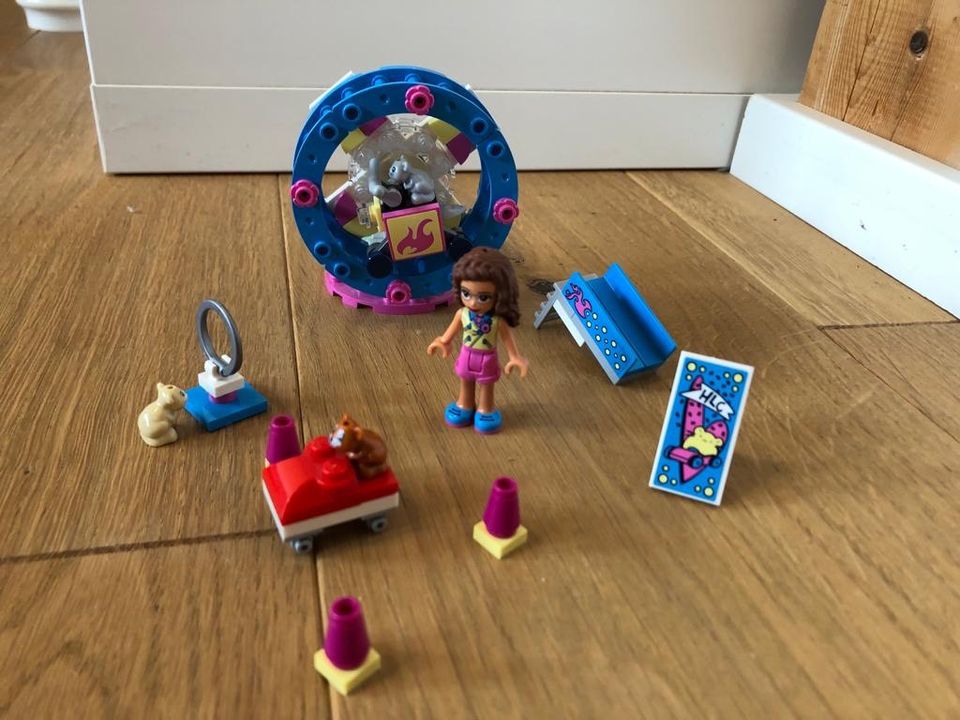 Lego Friends 41383 in Stephanskirchen