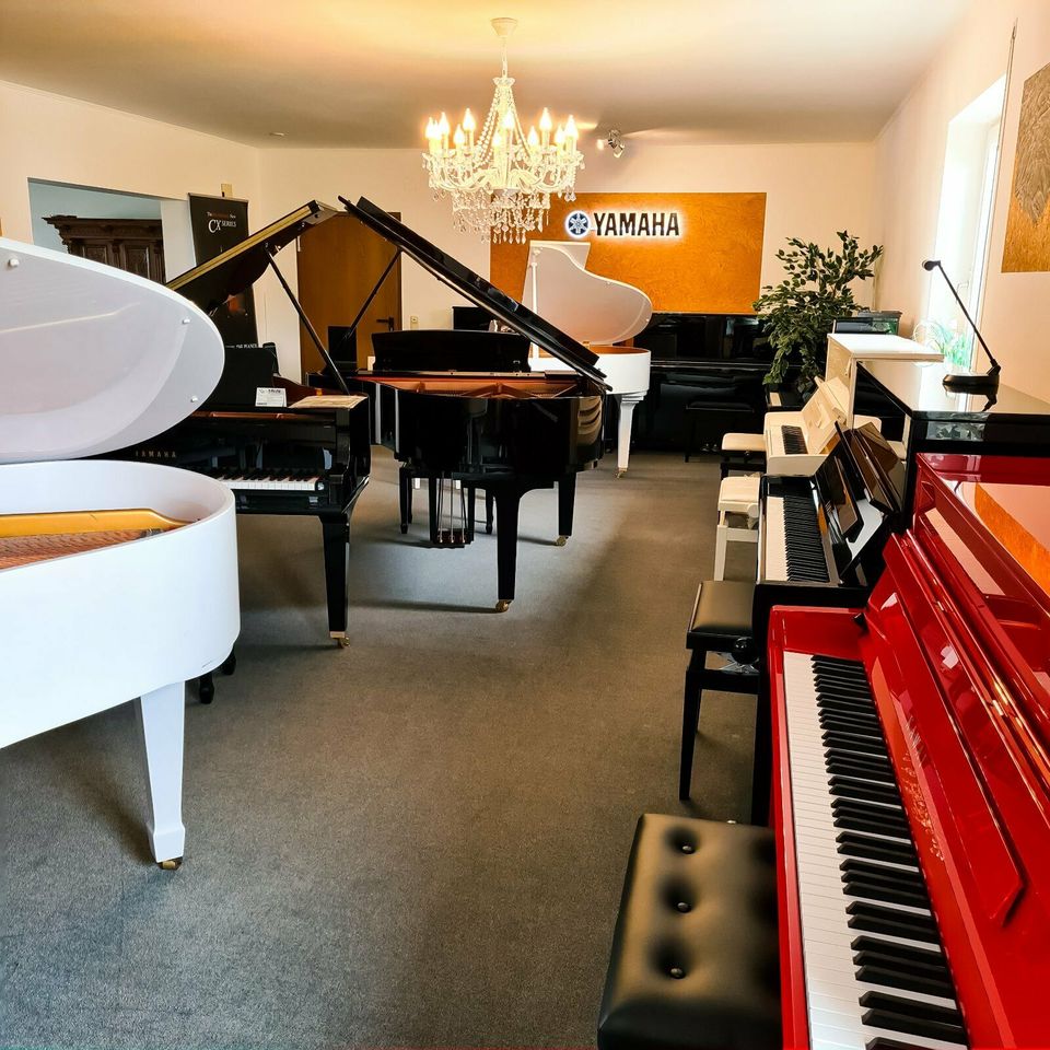 STEINWAY & SONS Klavier Mod. N, schwarz poliert, 137 cm in Tirschenreuth