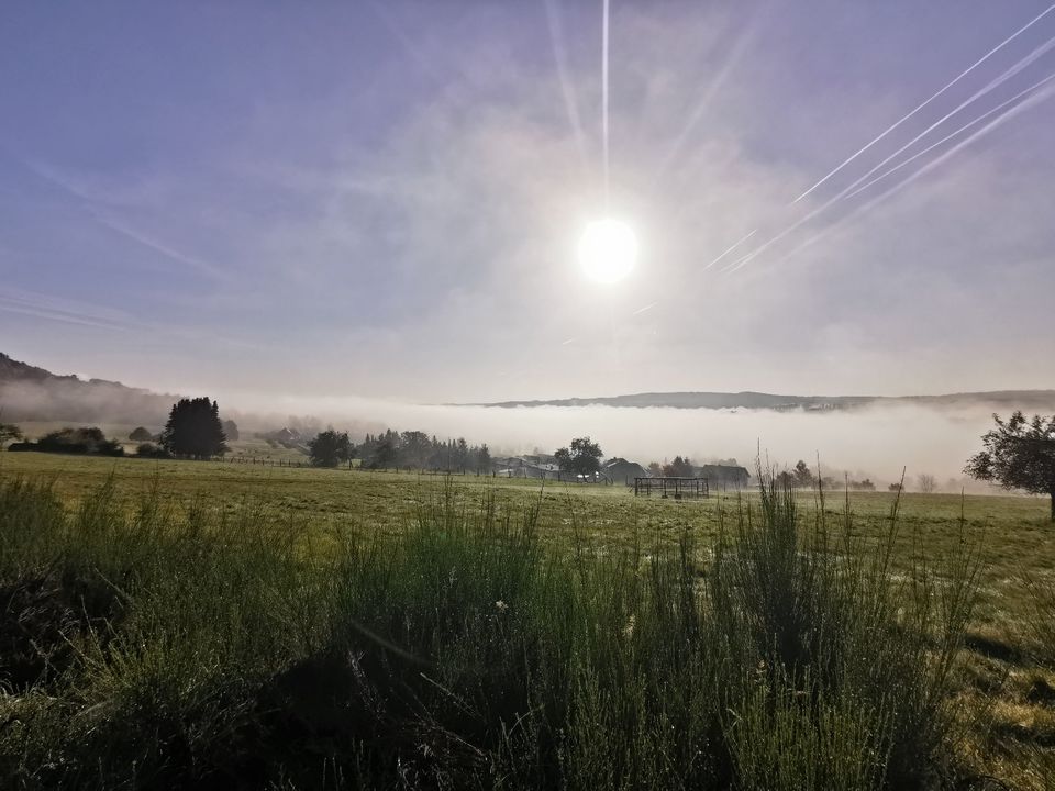 Schön gelegene Ferien-/Pendlerwohnung nahe Rothaarsteig mit guter in Haiger