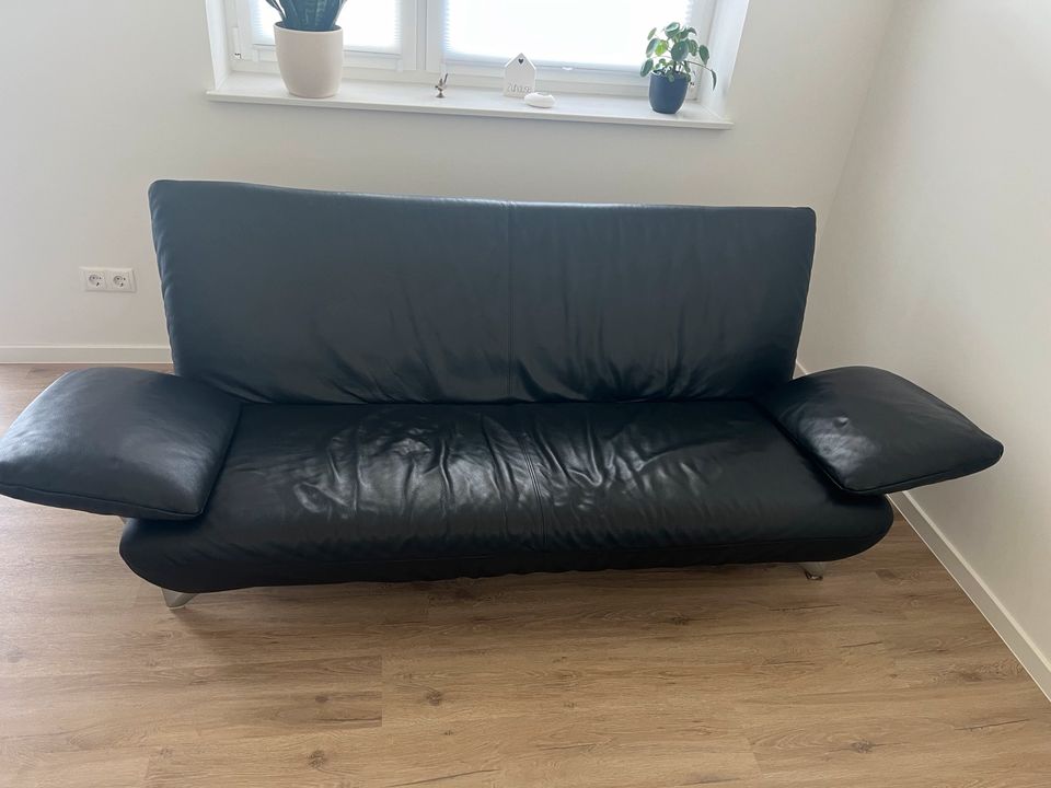 ROLF BENZ Ledersofa Sofa Couch schwarz in Holdorf