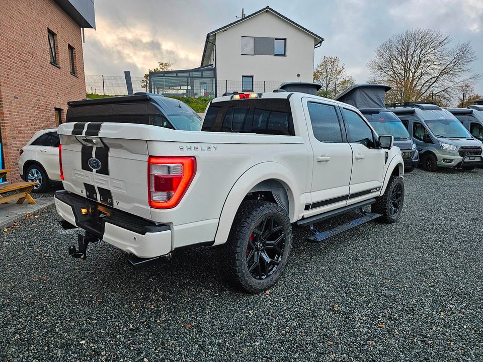 Shelby F 150 Premium Offroad Pickup in Selent