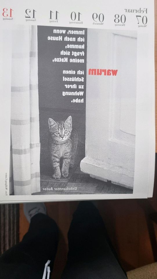 Literarische Katzenkalender der Jahre 2017, 2021, 2022, 2023 DIN in Rodenbach b. Altenkirchen, Westerwald