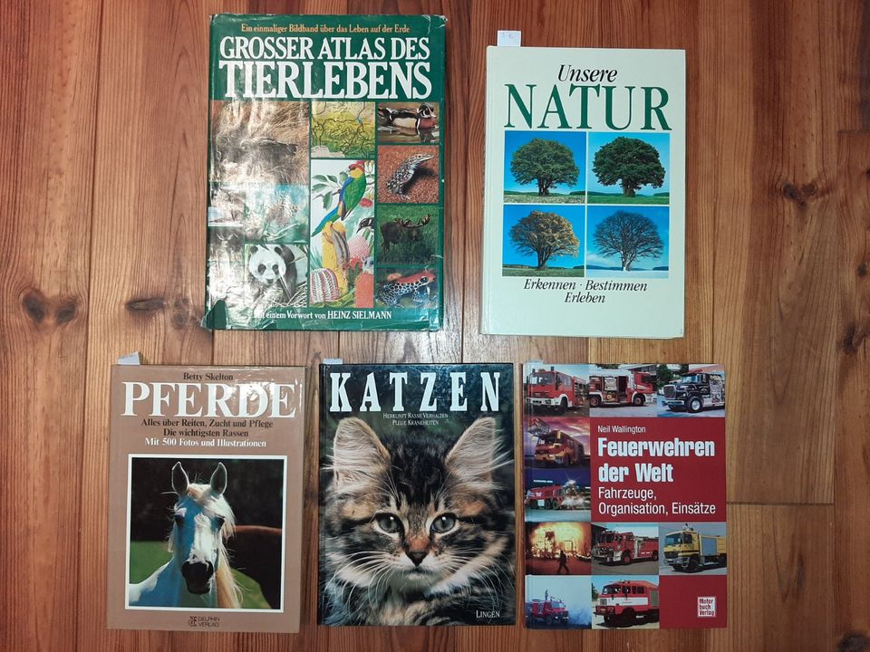 Wissen Bücher, Natur, Tiere, Kinderbücher in Elsfleth