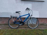 28" Carver Herren Trekking Touren Fahrrad. Verkehrssicher,LED Münster (Westfalen) - Mauritz Vorschau