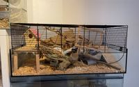 Gehege Käfig Terrarium Mäuse Farbmaus nagarium Hamster Niedersachsen - Uetze Vorschau