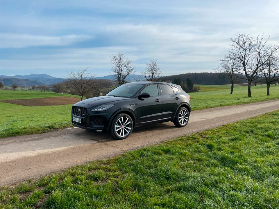 Jaguar E-Pace D 180 AWD - Nur 23000 km in Steinen