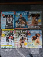 Hunde Magazine im Paket Dithmarschen - Meldorf Vorschau
