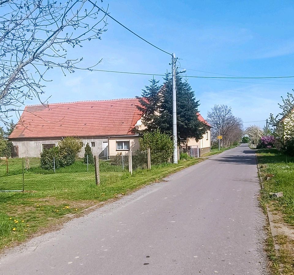 Einfamilienhaus mit Stallgebäude und Garage bei Belgern in Belgern