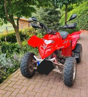 Adly Quad ATV  - 300 Hessen - Waldeck Vorschau