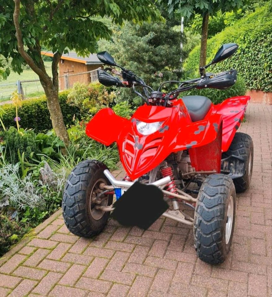 Adly Quad ATV  - 300 in Waldeck