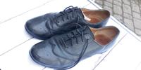 Gabor Halbschuhe Gr. 5 ( 37.5 ) schwarz Leder Sachsen-Anhalt - Zilly Vorschau