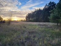 Gewerbe Grundstücke Mieten Brandenburg - Borkheide Vorschau