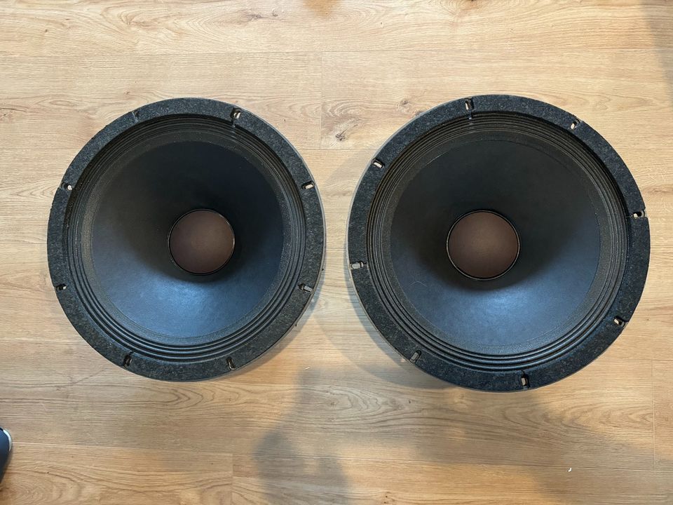 2 x Altec Lansing 3156 Tieftöner in top Zustand in Rudelzhausen