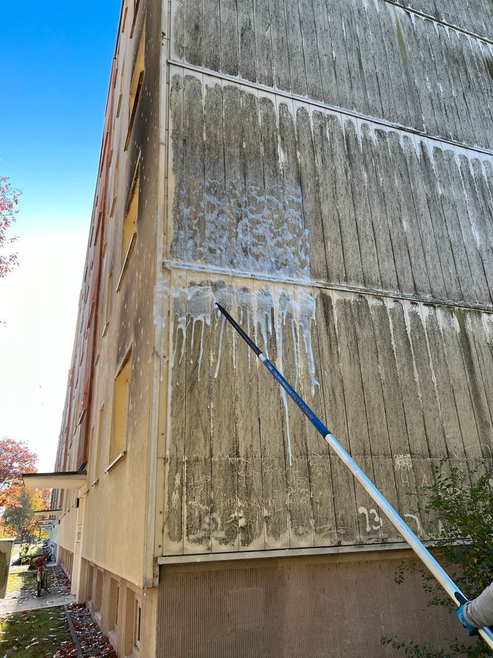 Dachreinigung Reetdach Dach Reinigung Dachsanierung in Lüdershagen