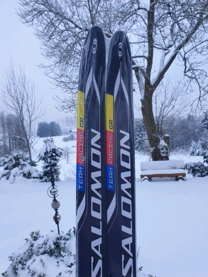 Salomon LL Ski 171 cm. NEU in Niedersachsen - Clausthal-Zellerfeld | eBay  Kleinanzeigen ist jetzt Kleinanzeigen