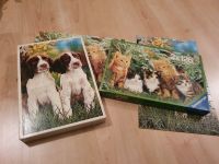 Ravensburger Puzzle 2x126 Teile Katzen & Hunde Hessen - Butzbach Vorschau