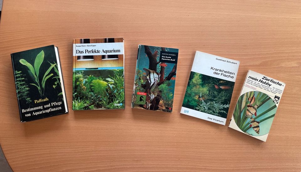 Aquarium Aquarien Fische Pflanzen Bücher in Volkmarsen