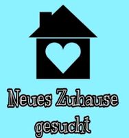 Suche Haus Bayern - Arzberg Vorschau