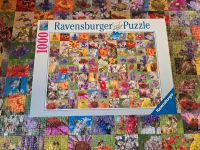 Ravensburger Puzzle 1000 Teile 99 Bienen Blumen Hessen - Langen (Hessen) Vorschau
