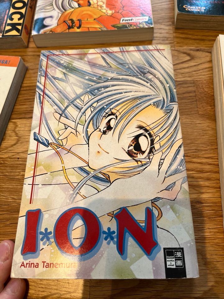 ION Manga von Arina Tanemura in Nindorf (bei Neumünster)