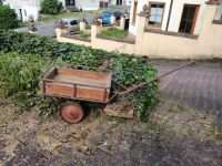 Alter Leiterwagen Bollerwagen Handwagen Holz Metall Garten Deko Hessen - Taunusstein Vorschau