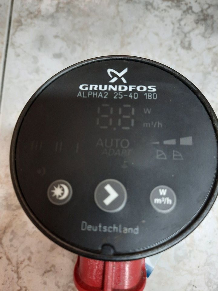 GRUNDFOS ALPHA2 25-40 180 in Dedelstorf