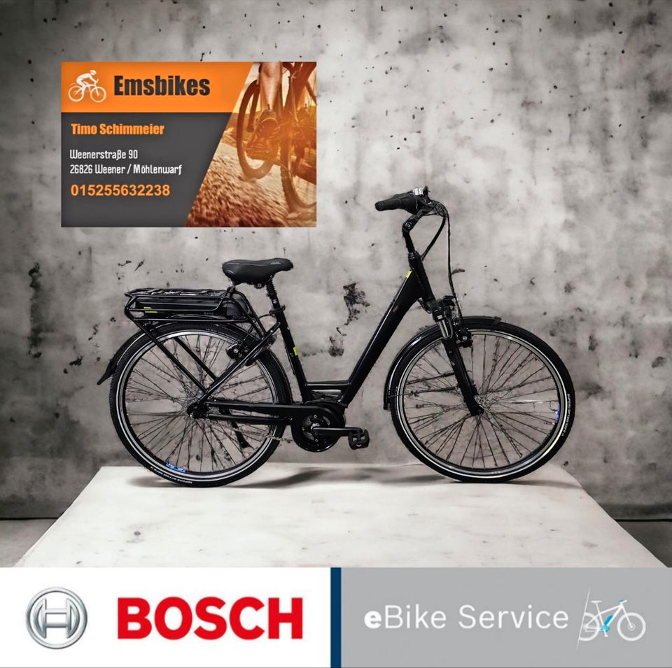 Pegasus Bosch E Bike 500Wh wenig KM top Zustand mit Garantie in Weener