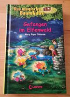 Buch "Das magische Baumhaus-Gefangen im Elfenwald", Band 41, neu Hessen - Biebergemünd Vorschau