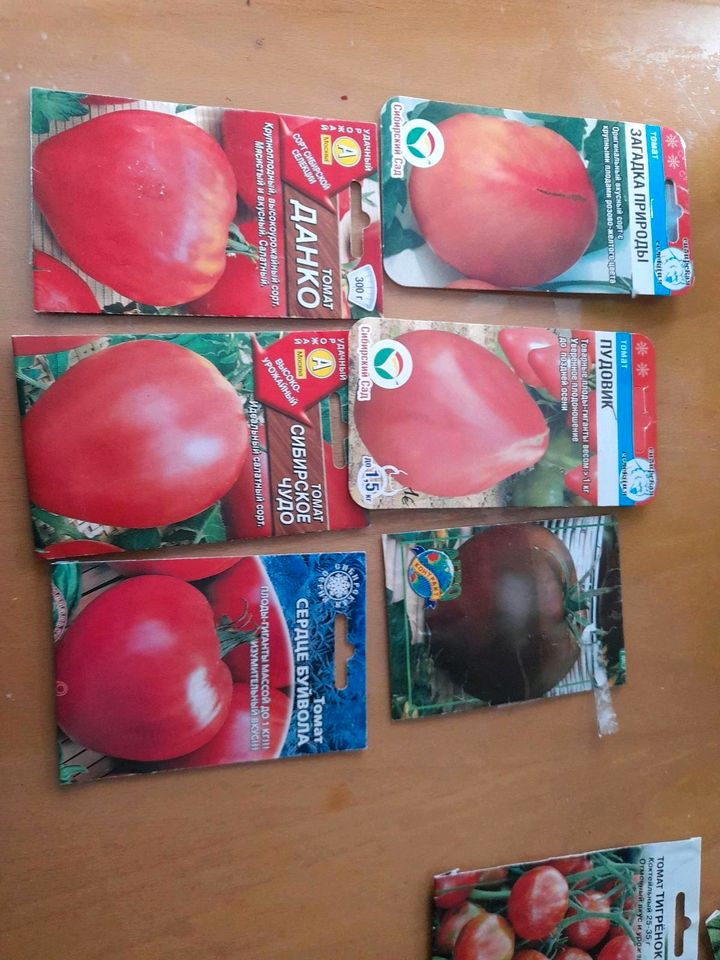 Tomatenpflanzen in Weilburg