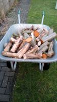 Brennholz für Feuerkorb Feuerschale Nordrhein-Westfalen - Lienen Vorschau