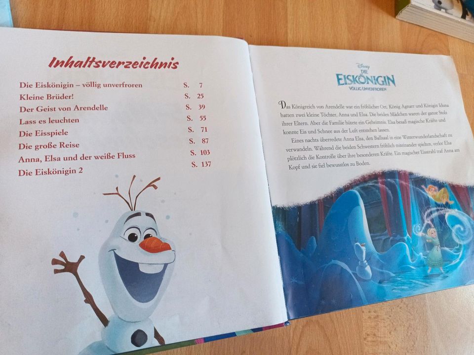 Eiskönigin Elsa Bücher Paket in Dresden