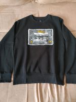 BVB Borussia Dortmund Pullover Gr M Borsigplatz Zustand sehr gut Hessen - Heuchelheim Vorschau