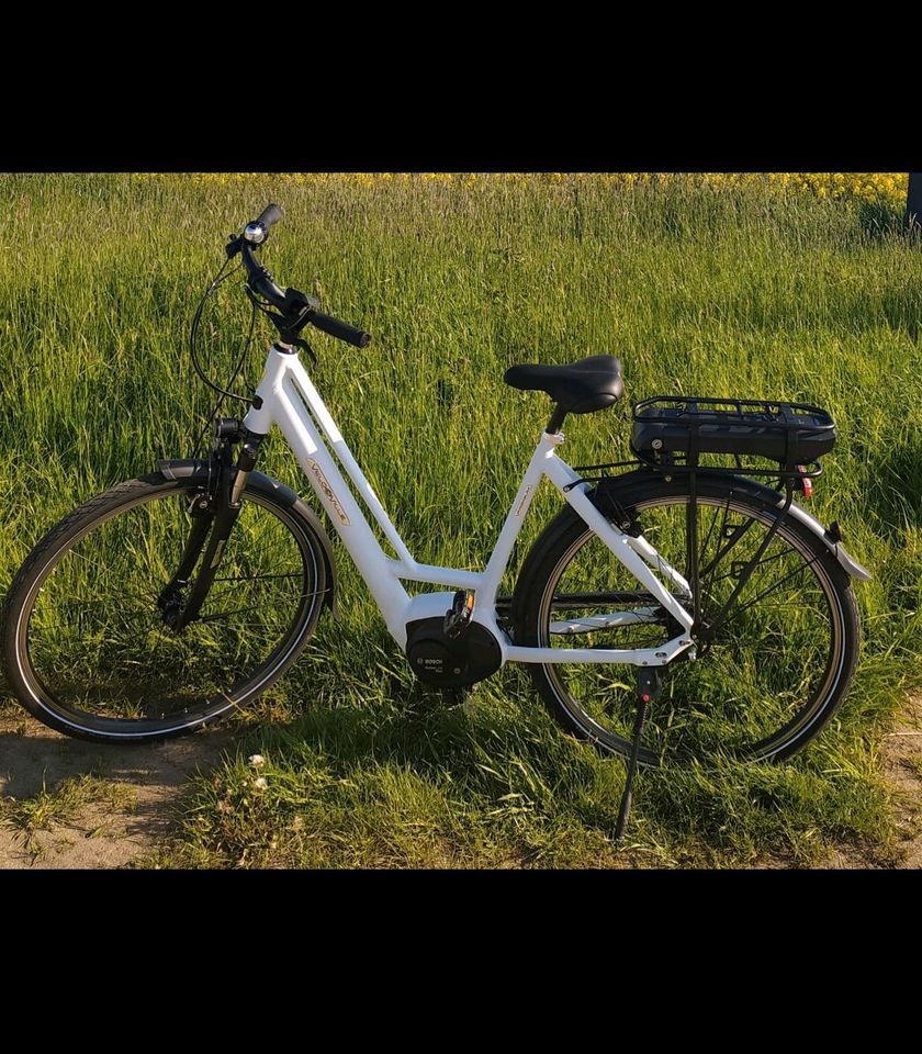 Damen E-Bike mit Körbchen und Gepäckträger in Herzogswalde