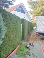 Gärtner Tiefbau Gartenarbeiten Hecke schneiden Baum Fällung Nordrhein-Westfalen - Detmold Vorschau
