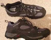 Suche Salomon Montana Schuhe Gr.43-44 oder 39 Sachsen - Zwickau Vorschau