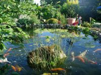 Teichfolie nach Maß, Stärke und Farbe für Teich und Garten Rheinland-Pfalz - Sankt Julian Vorschau