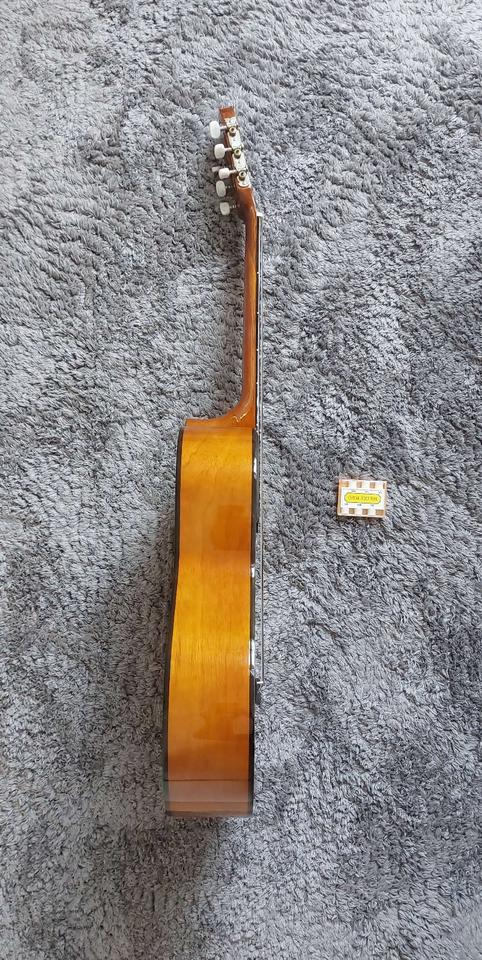 Guitarre Tenson - Classic Student Series 4/4 mit viel Zubehör in Hildesheim