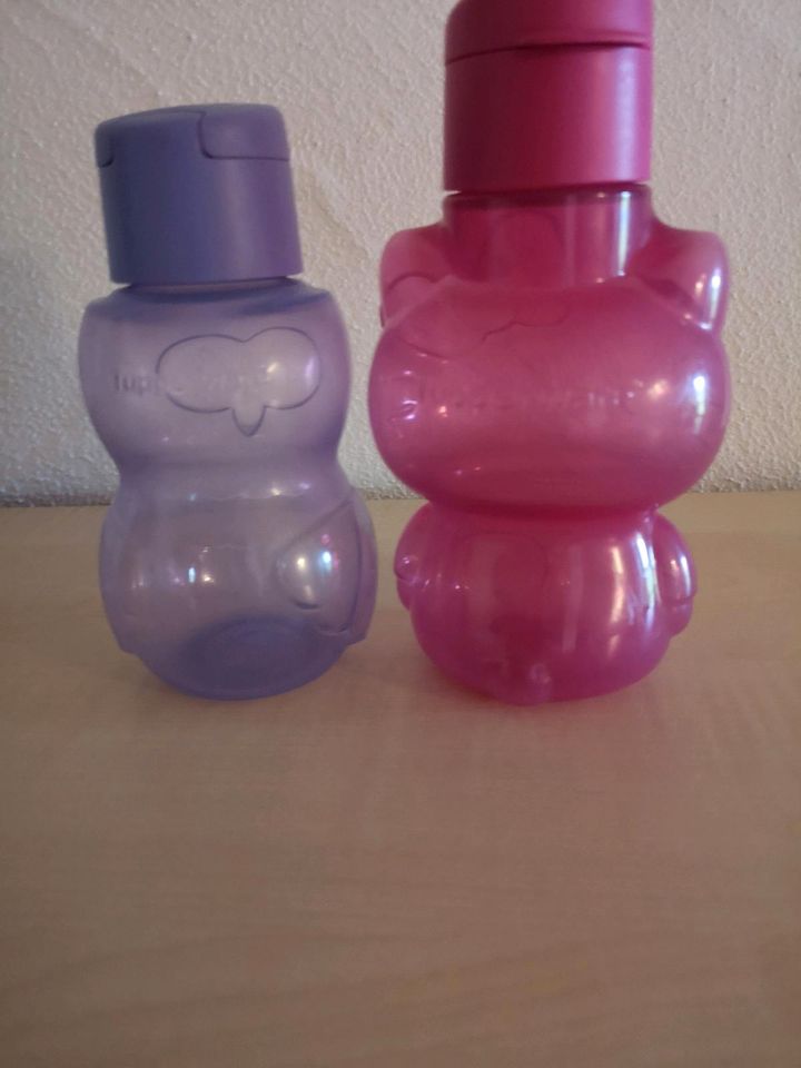 2 x Tupperware Trinkflasche Eule, Hello Kitty pink Lila Kita in Drolshagen