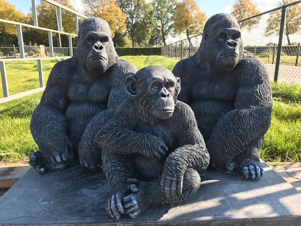 ‼️Schimpanse 52cm Chita Bonobo Steinguss Affe Affen Menschenaffen in Magdeburg